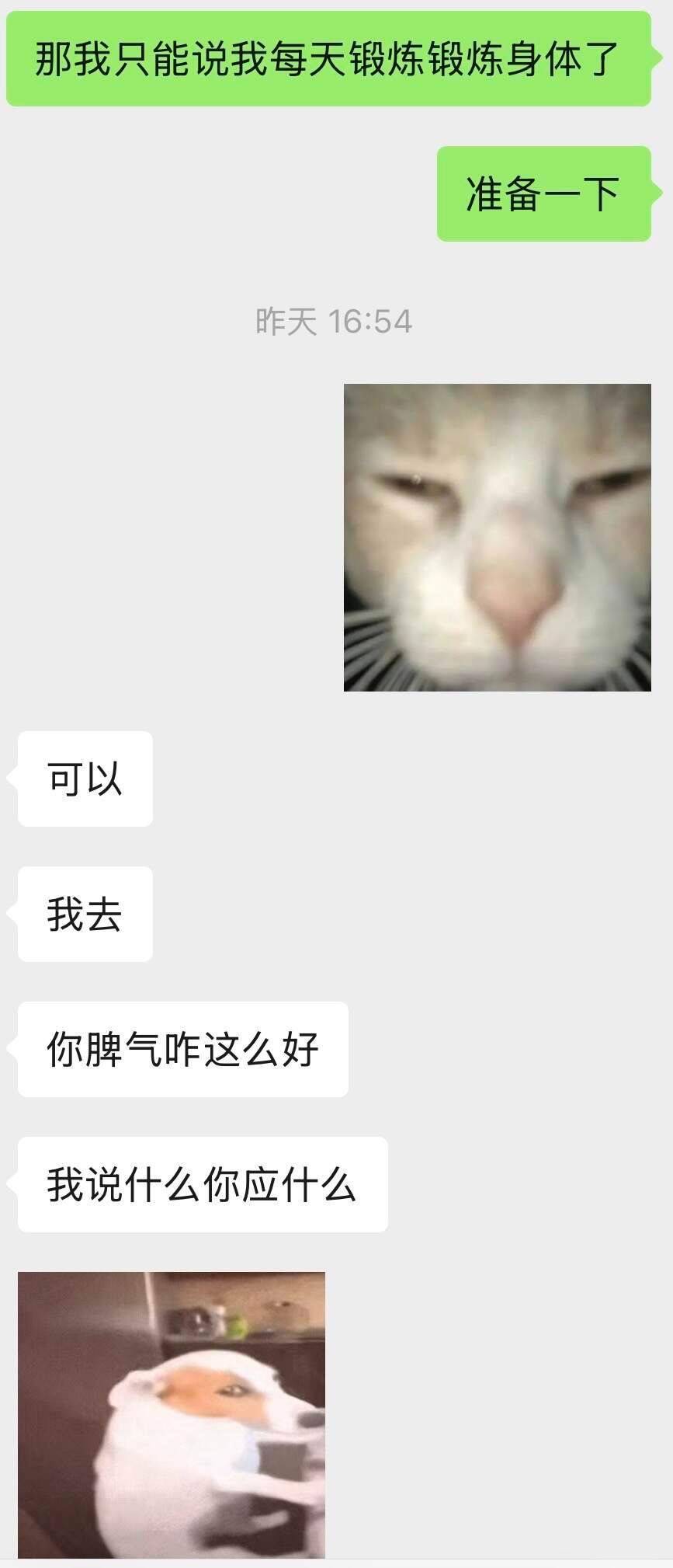 理想主义组聊天bybike: ​​​