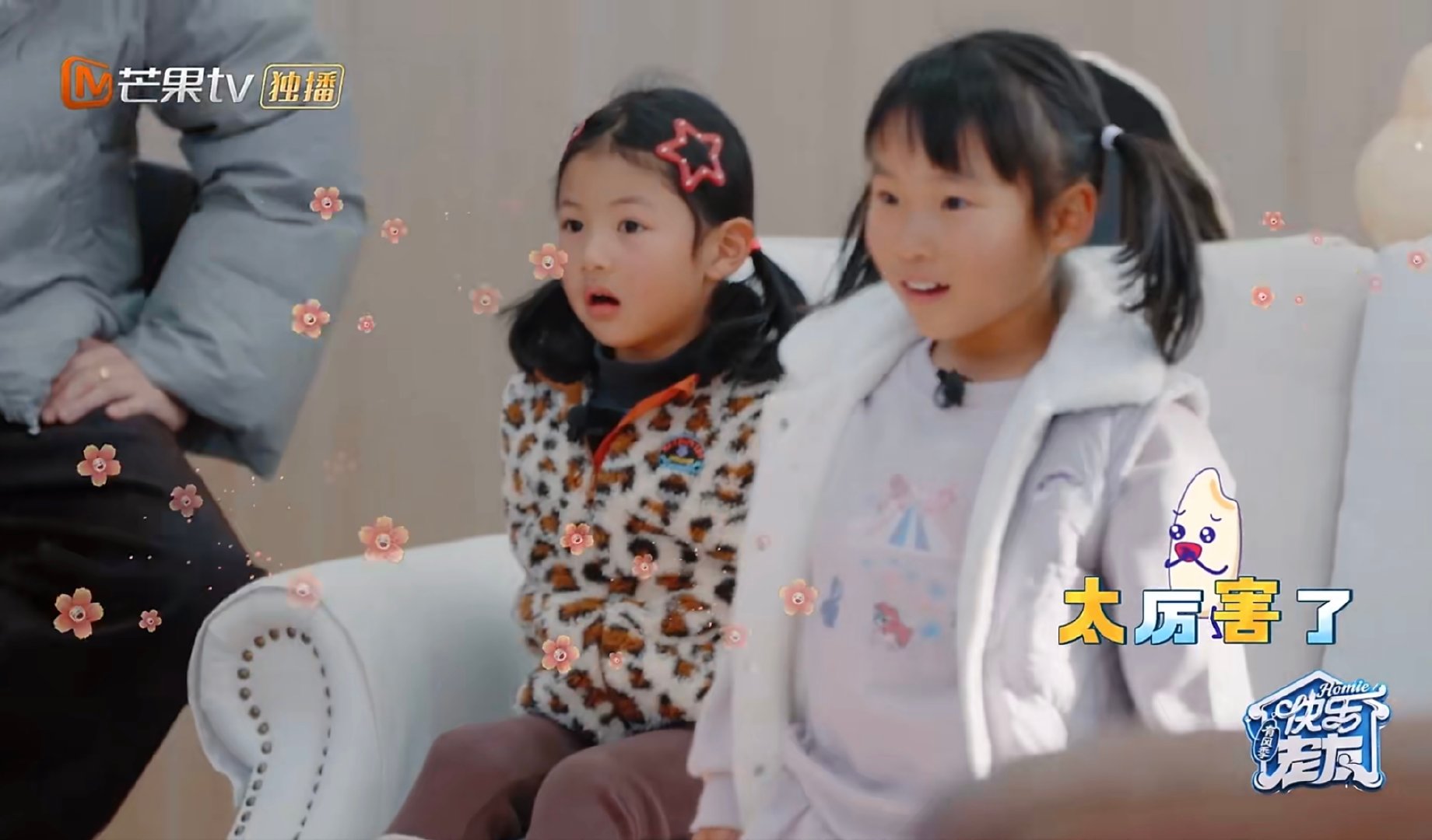 谁给苏醒在魔术界报班上了快乐老友记 苏醒的魔术秀又暖心又有趣，看一遍根本不够 