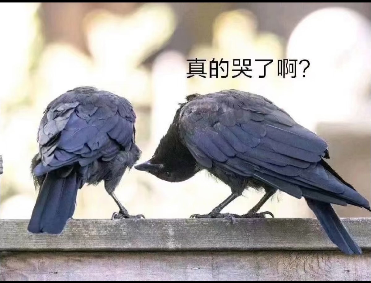 孙怡惊讶问唐艺昕你要哭啦孙怡和糖糖就这样 
