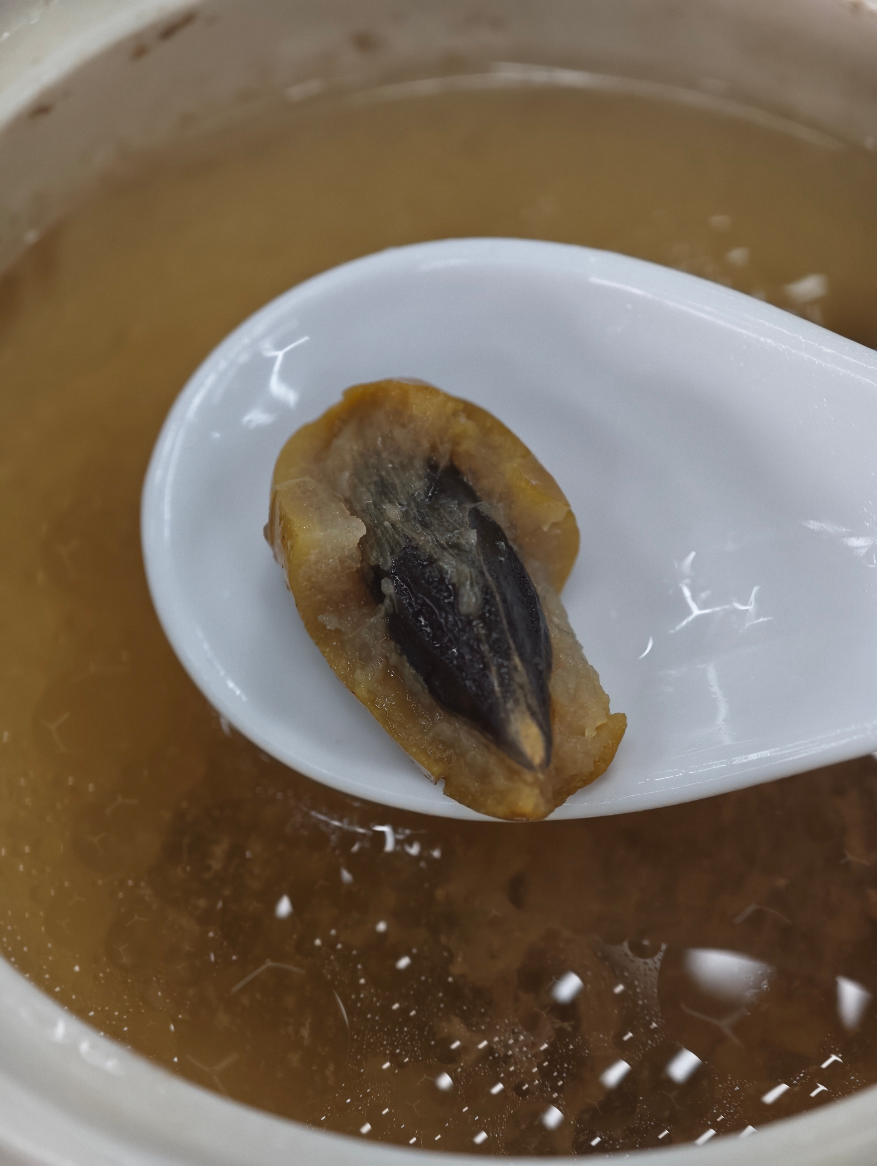 今天这个汤可能比昨天的莼菜鱼丸汤更小众青橄榄猪肉汤，出了潮汕应该没多少人喝吧？如