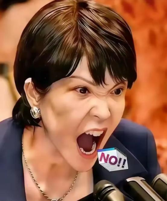 就在所有人都觉得该收手的时候，两个日本巨头，三菱和索尼，突然在中国市场砸下了重注