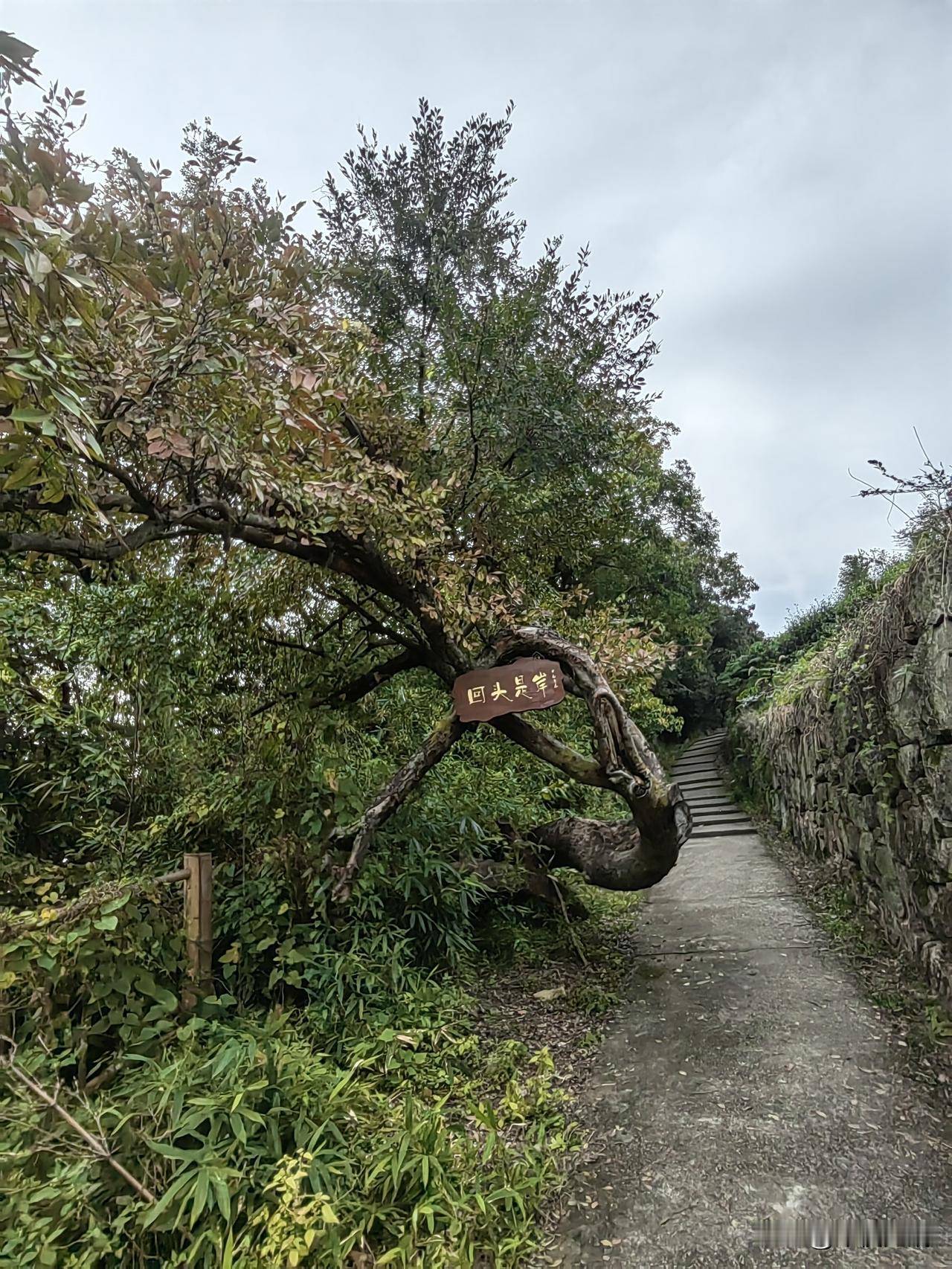 中年美女养成记——护肤篇

       不管什么年龄段，好皮肤几乎占了视觉一半