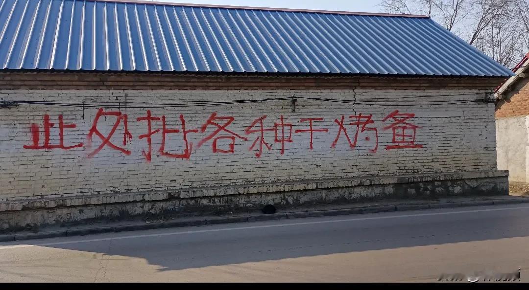 江苏邳州，农村一民房体广告语，实属惊艳来往的路人，错字连篇，只有本地人能够看得懂