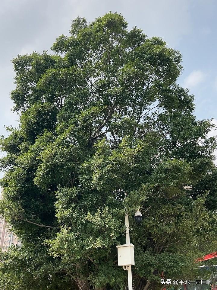 忽然间好像又想明白了一个问题，

咱们的老祖宗留下来的命理学说真的，其实是科学得