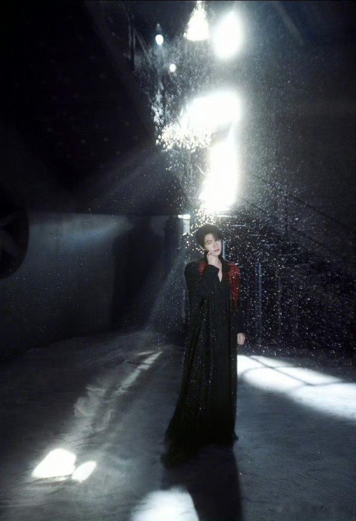 杨洋吸血鬼伯爵他在夜色里萃取暮光的标本。黑衣褶皱藏着十八世纪的烛泪，红穗轻晃时抖