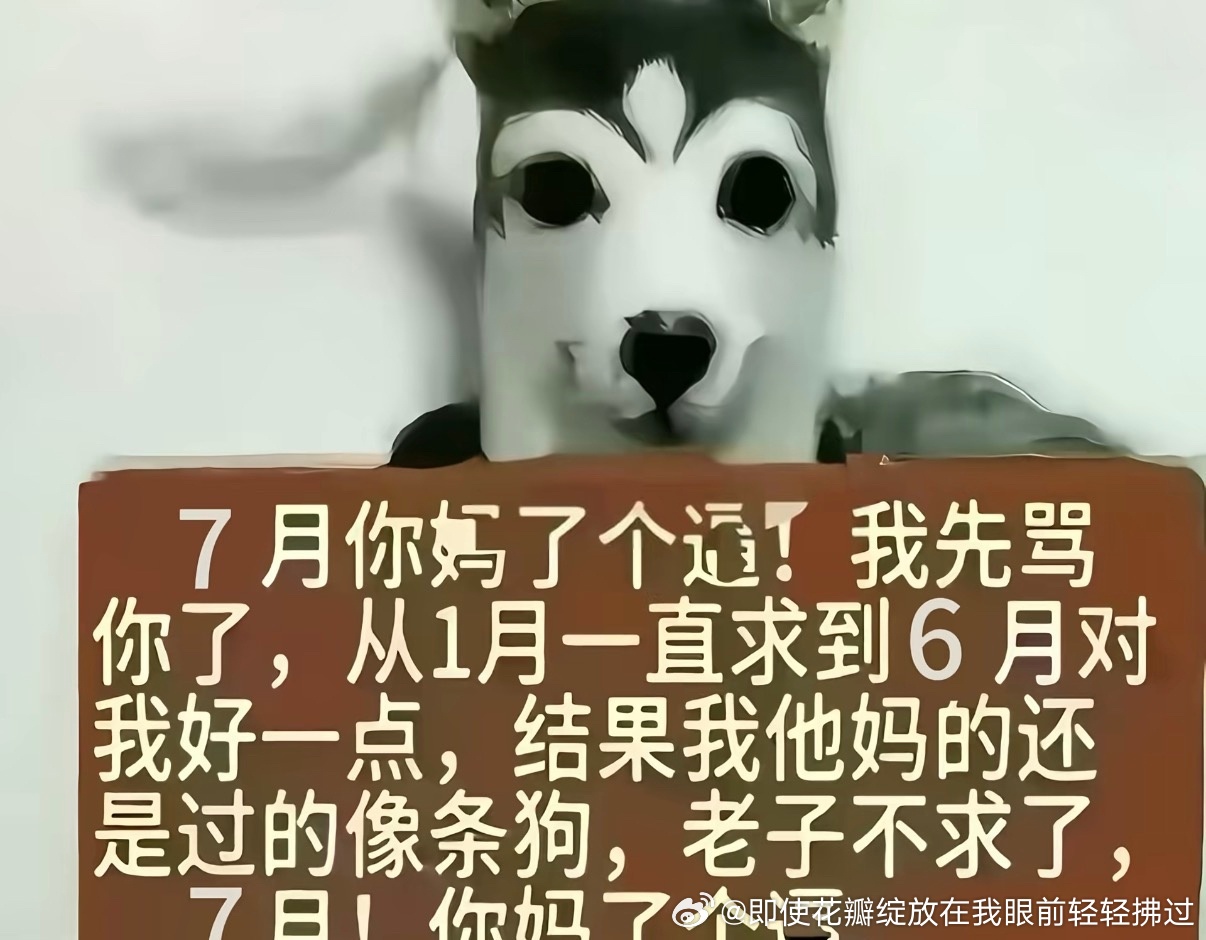 分享图片 