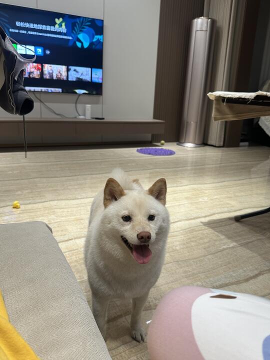 理理我理理我理理我理理我理理我