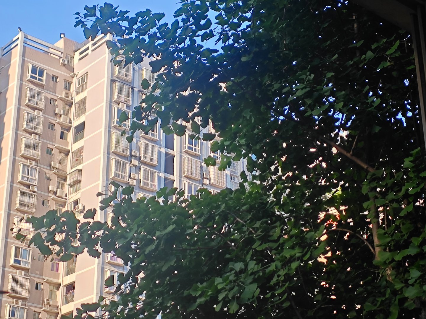 人是不会记得，翻山越岭来见自己的人，他只会记得自己跋山涉水去找的人。早安