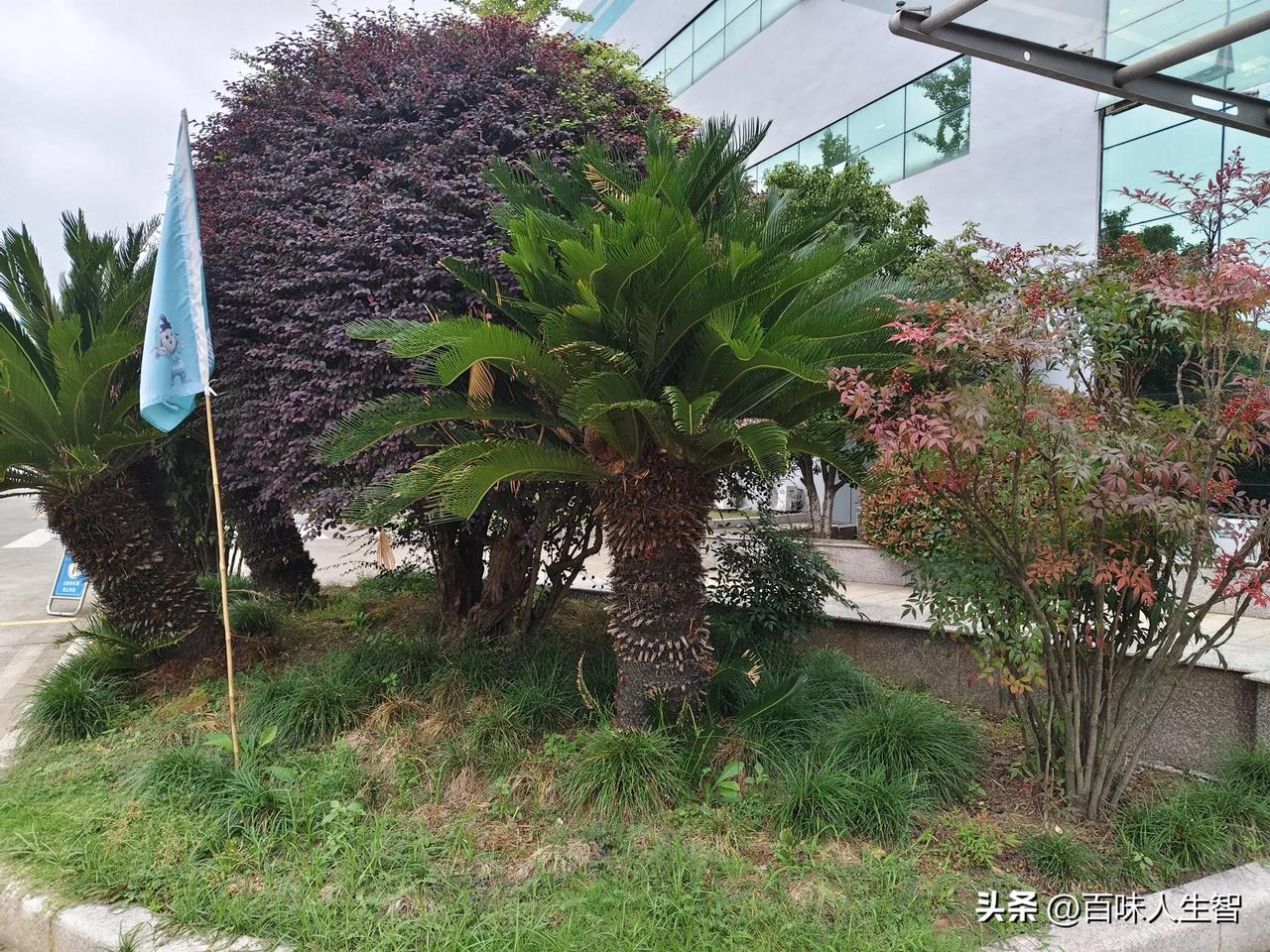 庆祝一下，今天是11月1日，如果按大家认为11月11日是大光棍节的话，我认为今日