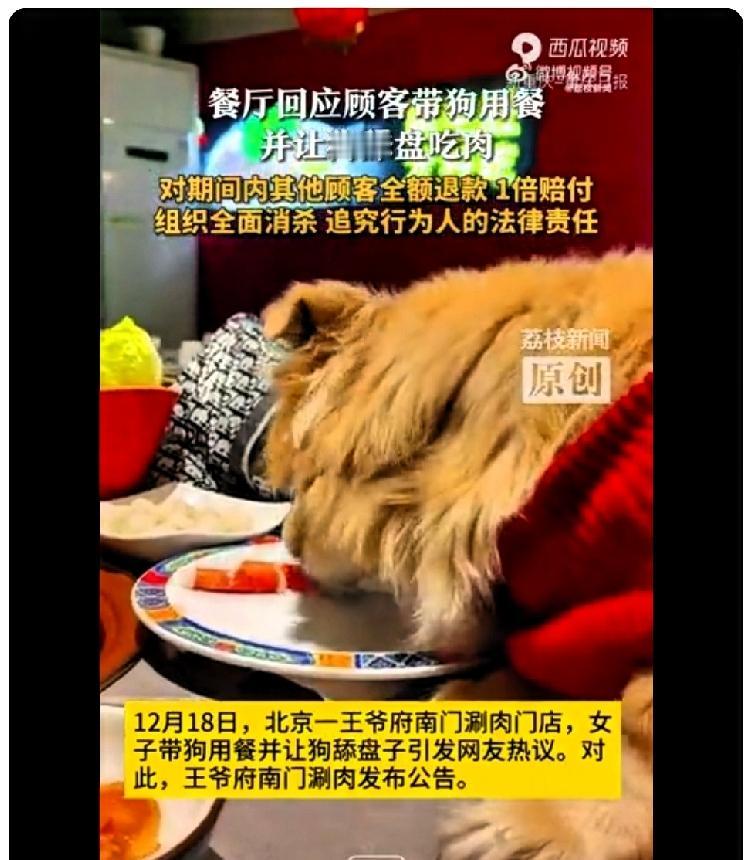 这是膈应谁呢？
12月16日晚一女子带狗在南门涮肉就餐时让狗上桌舔食生羊肉卷并拍