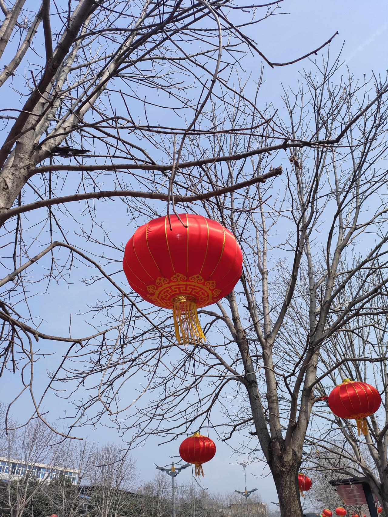 2. 枝头红灯挂，年味入千家。风过枝桠，摇落的不是萧瑟，是即将满溢的欢喜与吉祥。