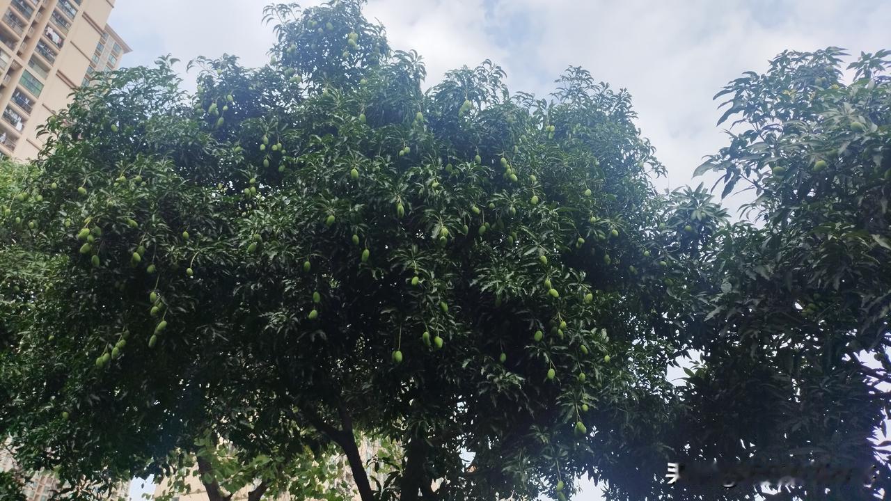 [锦鲤到来]头条阅读量高的真相是什么？

不可否认，在头条里面普通人也能够写出阅