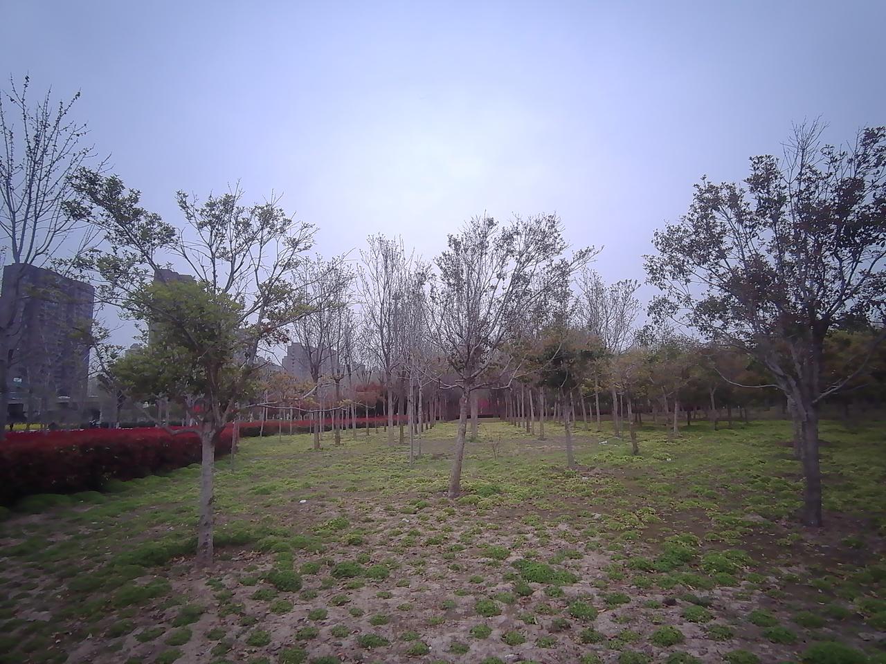 这段时间明显感觉到时间不够用，我感觉人与人之间拉开差距的就是对工作的主动性可执行