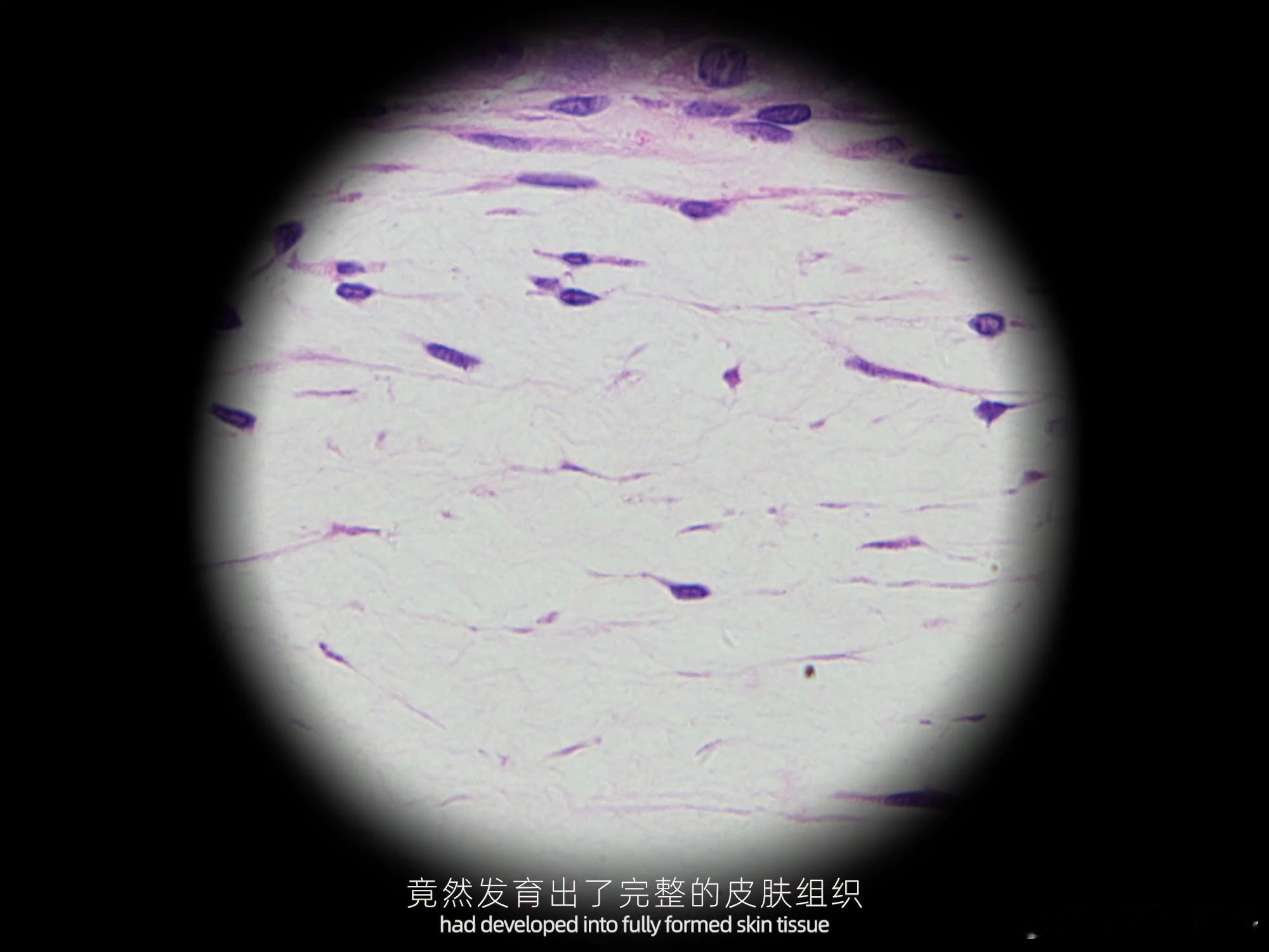 中国科学家30年追上世界第一 从80年代美国技术独霸，到2001年中国打破垄断，
