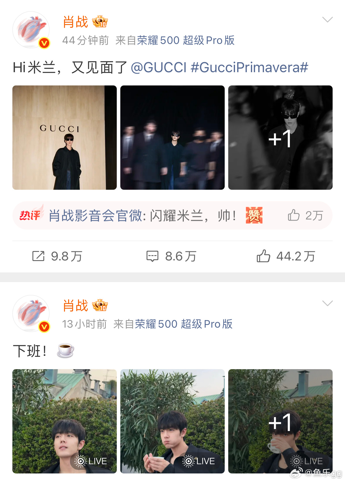 肖战分享微博了，顺毛配墨镜真的是要命啊肖战出道9年依然有新人美gucci大秀肖战