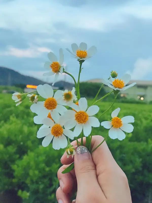 我新发布的内容被官方推荐啦！想想我发的内容，其实就是把生活里那些不起眼的小美好记