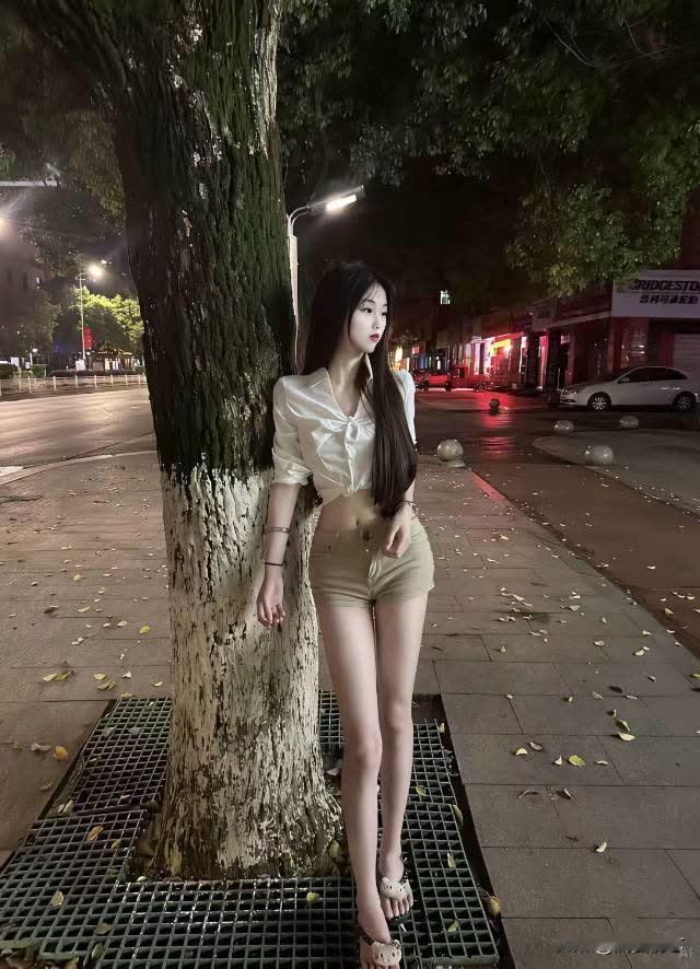 树边倚美人，夜色更迷人。