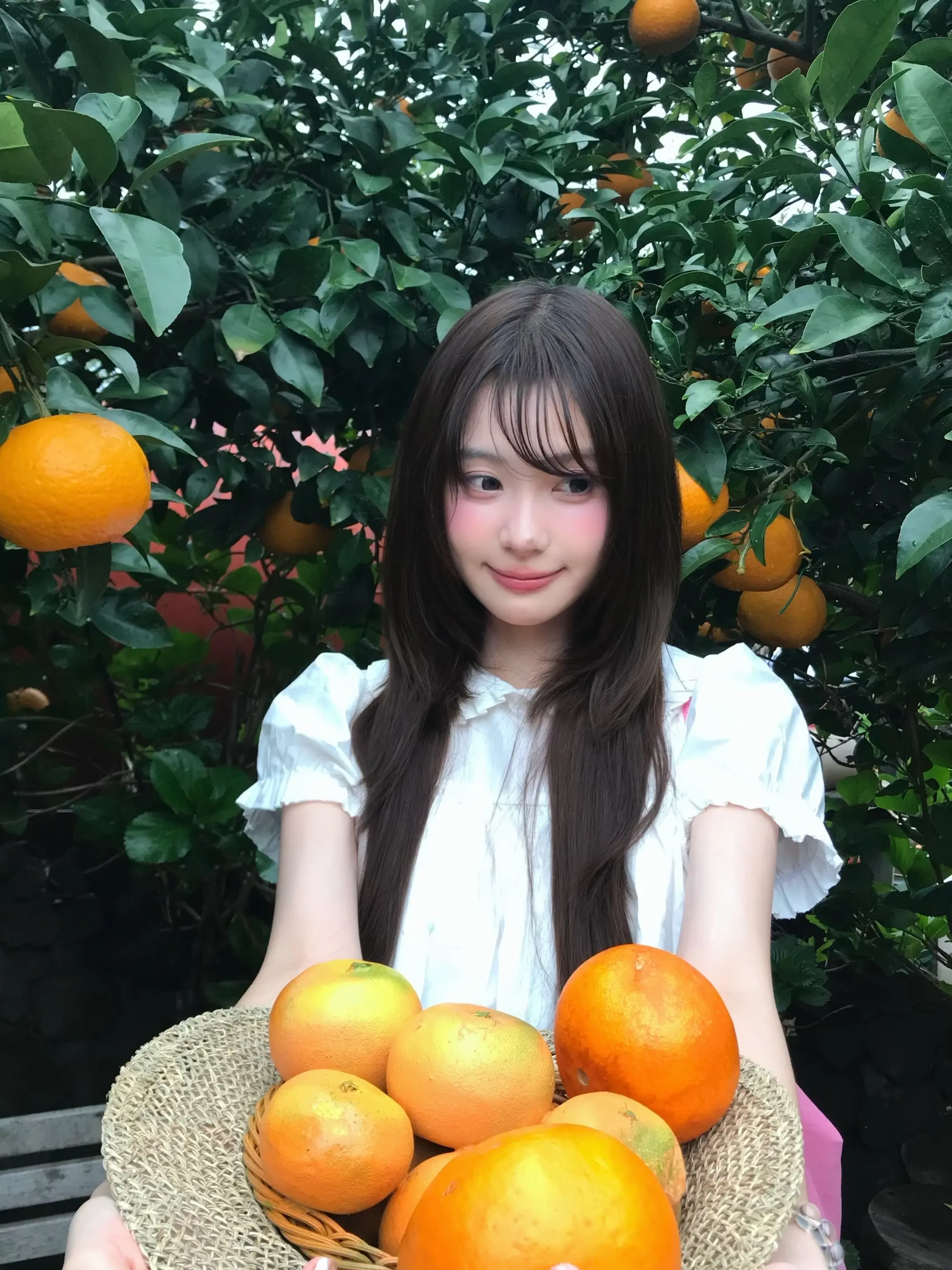 🍊Jeju.