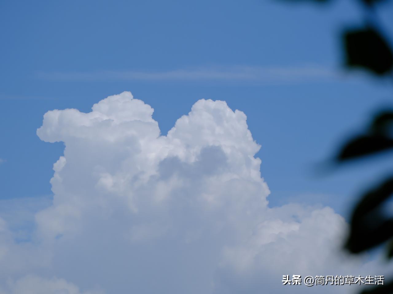 天气真的好可爱，就像刚才那个言情剧中的女主本色。
运动一会儿，洗澡洗衣服，卫生间