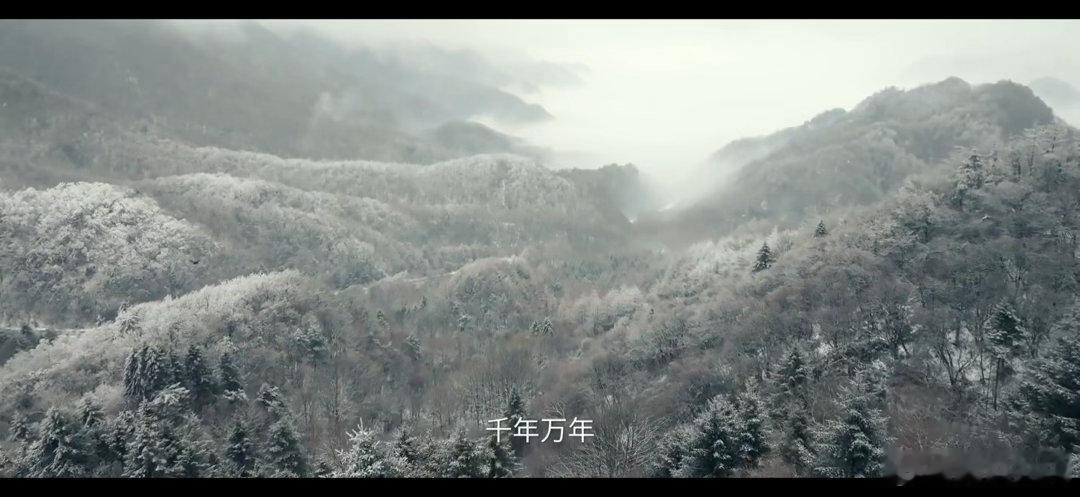 主角 致敬活着不是站在舞台中间的才是主角，每一个在生活里硬扛着没倒下的，都是；戏