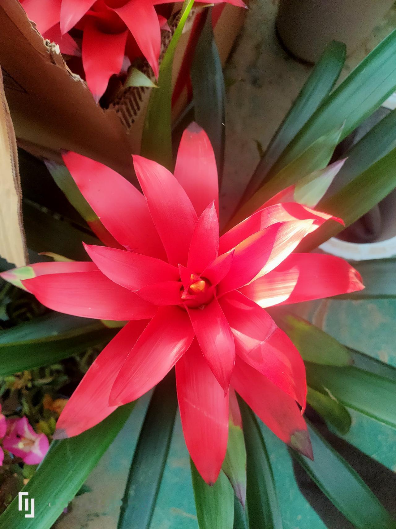 世界本就是为心量大的人而设！
我邻居，她在40岁那年，儿子和儿媳开车去外地办事，