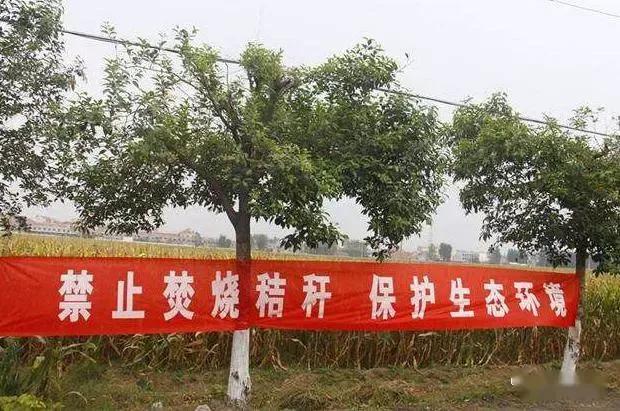 中国专家不让农民焚烧秸秆！
日本鼓励农民焚烧秸秆！
中国专家提出禁止农民焚烧秸秆