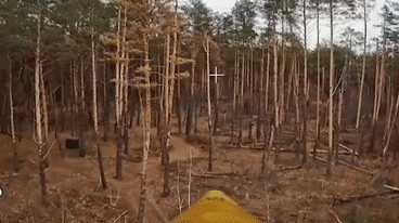 库尔斯克地区，乌军在控制区的树林里构筑了一个林中工事，经过火炮多次修理，不少树木