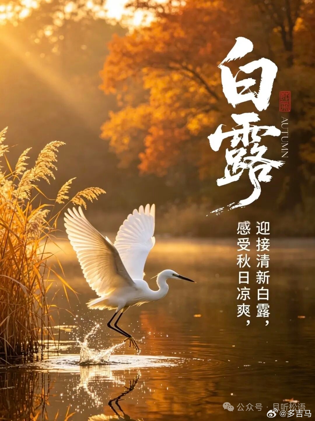 缘是什么？缘是十字路口的相逢，是红尘陌上的牵手；缘是万朵春花一齐绽放，是两枚秋叶
