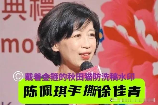 柯文哲老婆陈佩琪晒9天账单手撕徐佳青：你花公款爽游26天，而我全程是自费！

岛