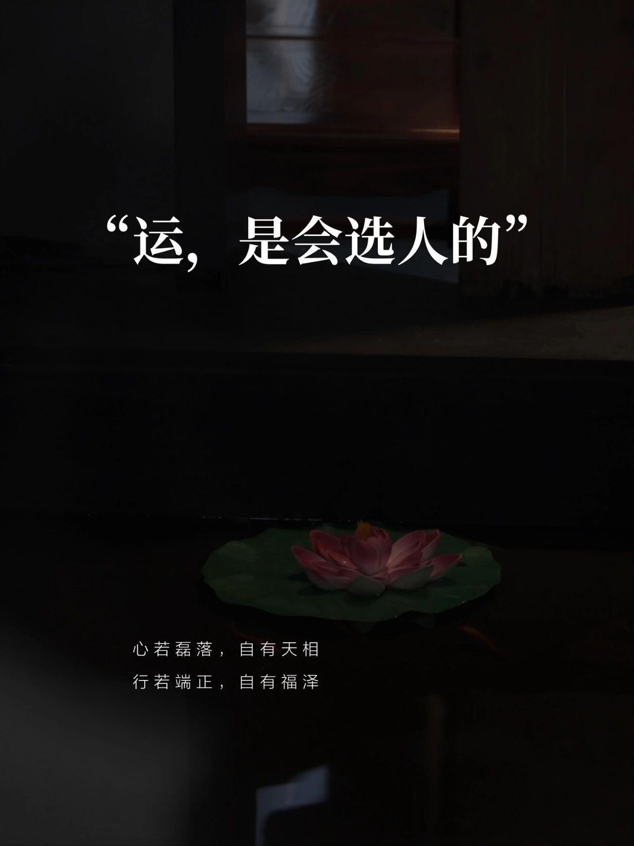 祝你好运常伴 [求关注][拜托][点赞] ​​​