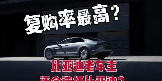 这是一个让整个汽车圈都沉默了三秒钟的数据。

不是特斯拉，不是吉利，更不是五菱。