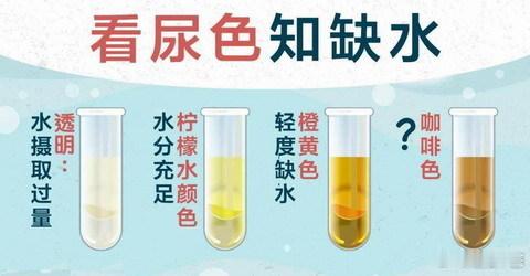 如何通过看“小便”辨病证？中医说的，望小便，是指，观察患者小便的颜色，尿质和尿量