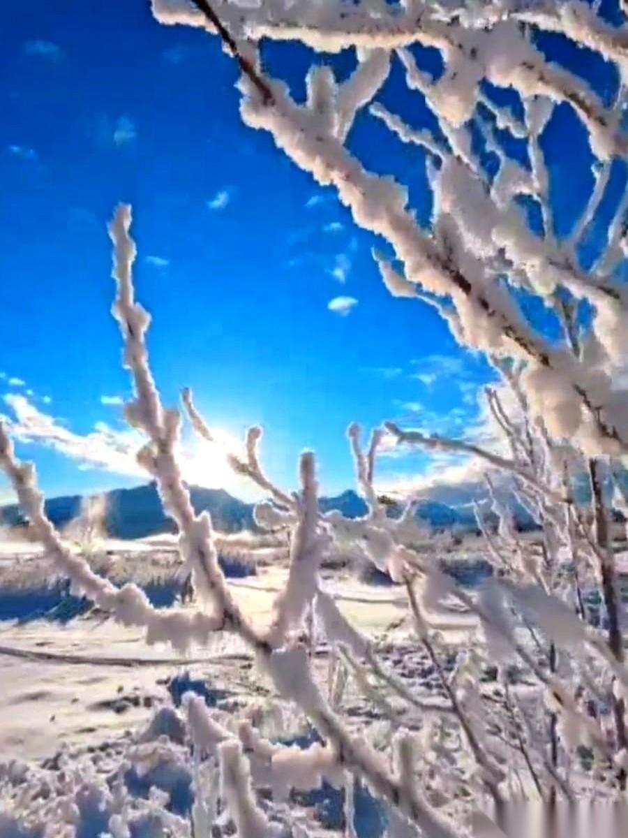 刷到一句上联：
冰天雪地送冬去。
不知道为什么，眼眶一下就有点热。
底下好多人兴