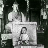采梅品品科技