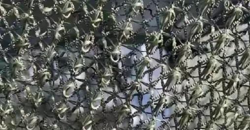 乌军 空袭 已经结束了吗？没人能想到，最后能把那些满天乱飞的无人机治住的，竟然是