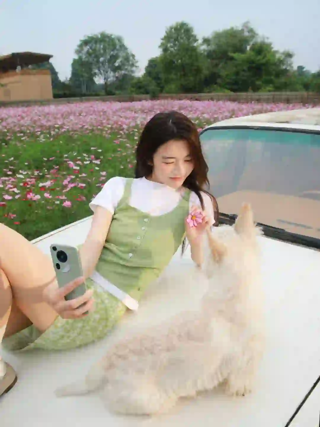 我与小狗的摄影日记