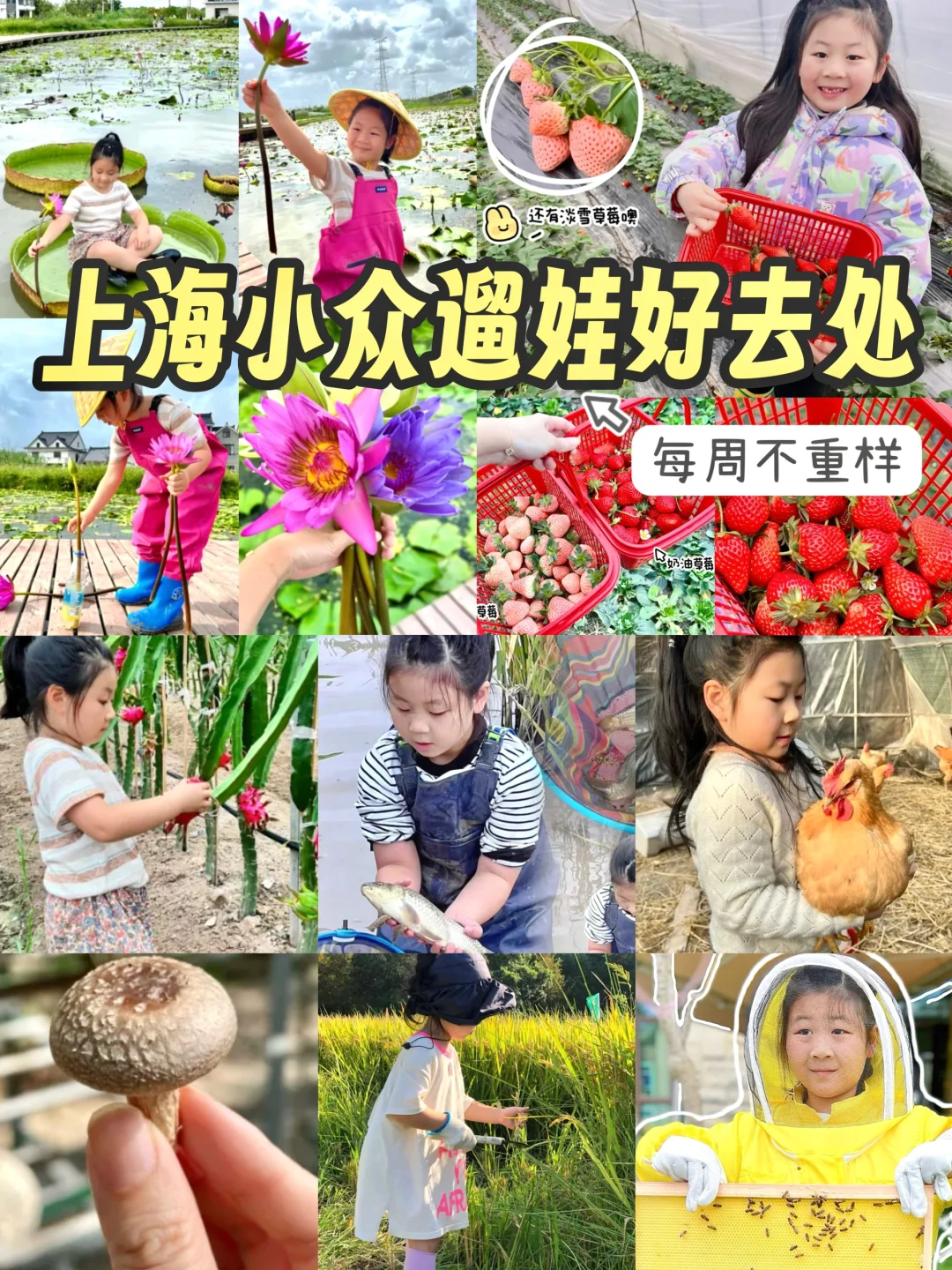 必看‼️10个上海小众户外遛娃好去处📝