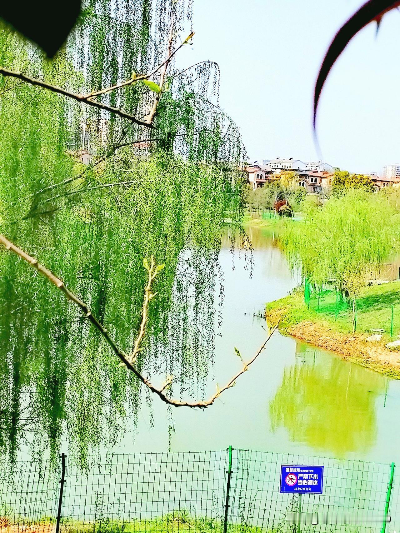 上联：寒尽桃花嫩
下联：春归柳叶新
横批：春满人间