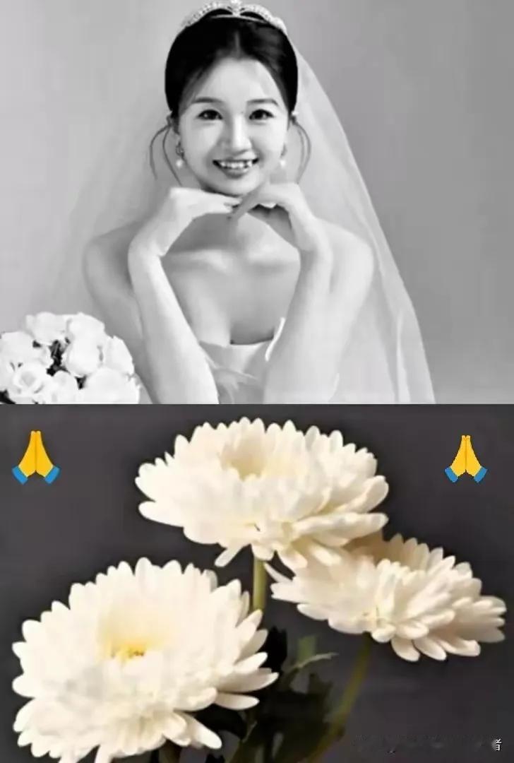 你的美丽，让你带走
我把我的悲伤，留在心底
但愿来生还能记忆，还能相拥
梅花一弄