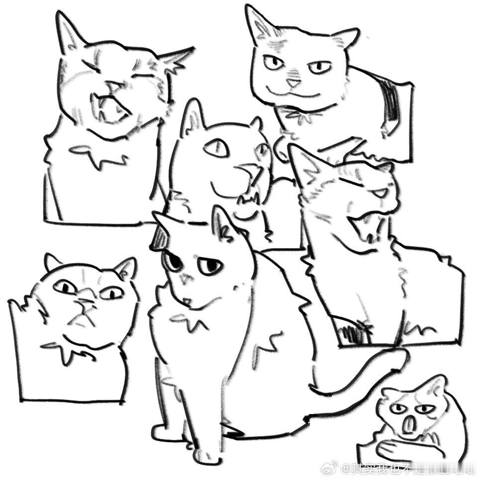 49382【丑猫】这是我，，，拼尽全力画出来的丑猫丑猫卢浮宫