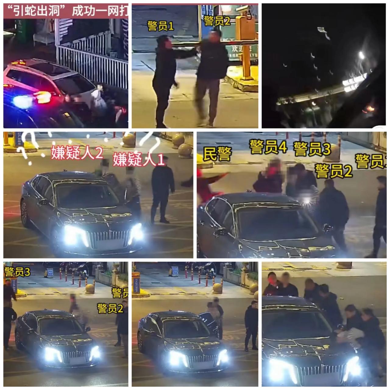 坏蛋懵了！嘉兴警察街头“飙戏”智擒嫌犯，围观群众秒变抓捕助手



古有诸葛亮草