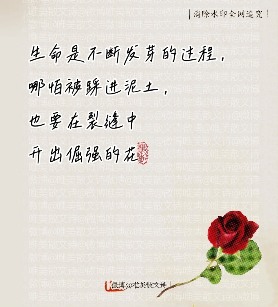 “央视金句分享，央视三观超正的顶级金句。” 