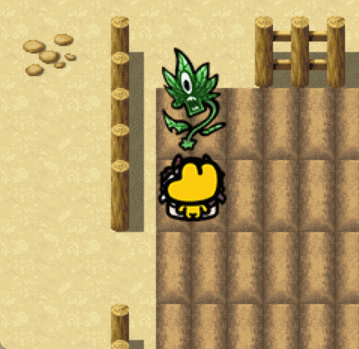 现在能在被岛离凿过的田地里种这两种植物 