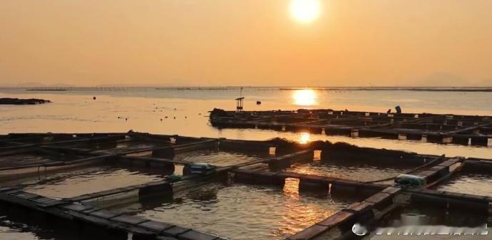 台州美食绘就山海丰收画卷 海鲜鲜甜跳脱、水果清甜多汁、糯叽叽软糯可口，台州美食绘