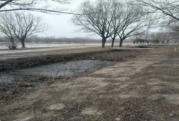 秦岭笑谈 【涵养黄河生态脉 激活乡村振兴力】为深入调研山东境内黄河流域地区的生态