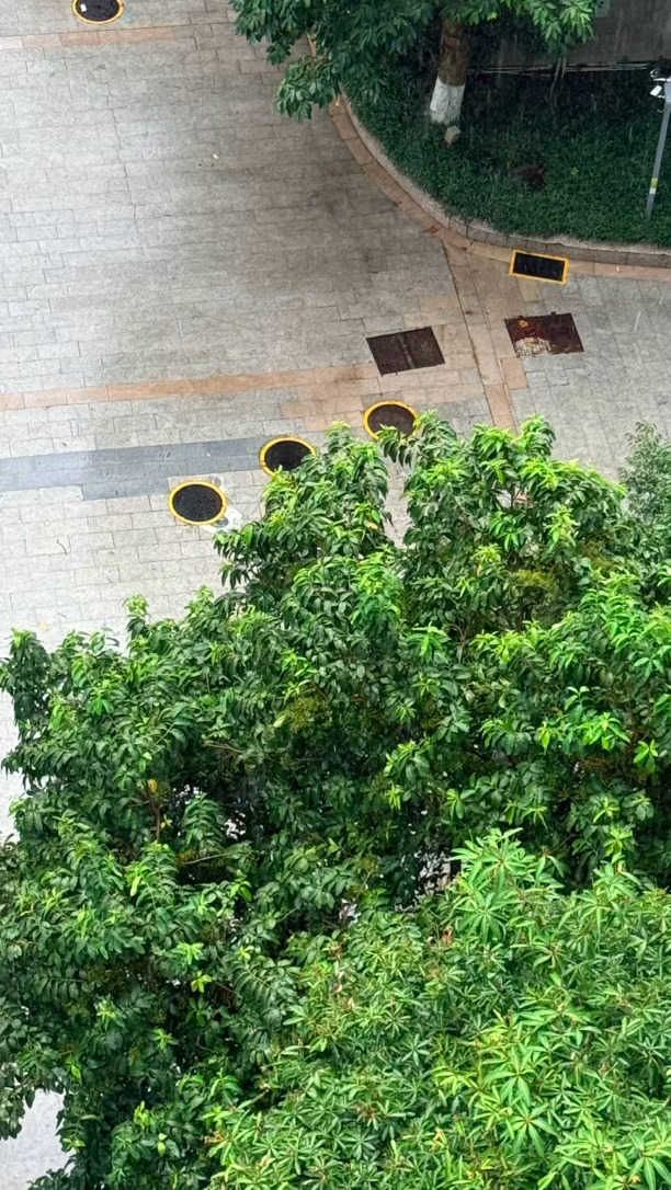 雨落，暑消，微凉恰好～ 