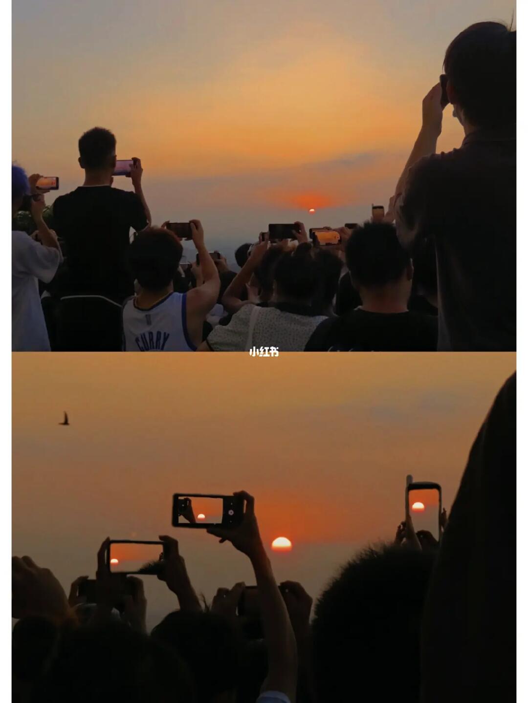 “东莞人看日出的现状”