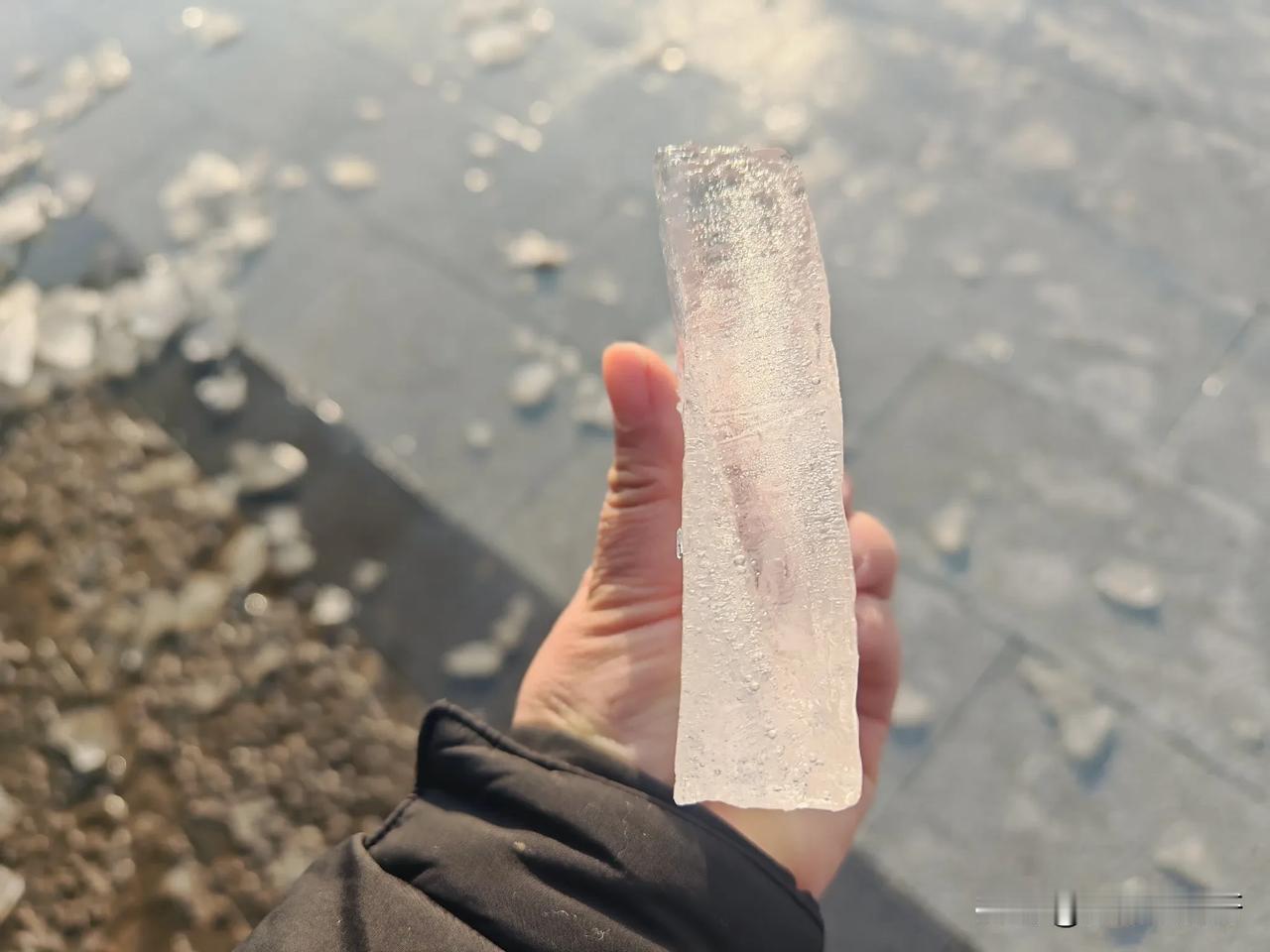 看看这几日的合肥有多冷吧！

昨天带着孩子们玩耍的时候，在小区喷泉池里捡到了很大