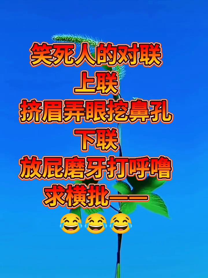 笑死人的对联。
上联：挤眉弄眼挖鼻孔。下联：放屁磨牙打呼噜。求横批。