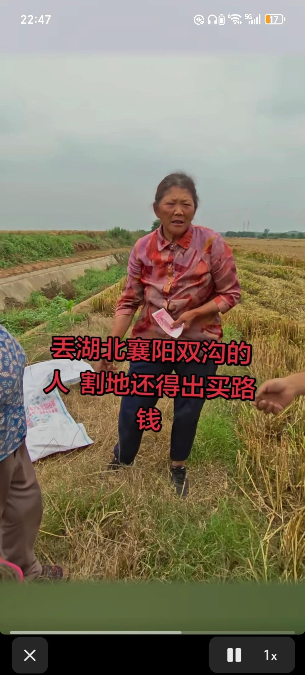 今年不说了！欣闻襄阳地不再让外地麦客做难。整治大小亩坑外地收割机主问题，并帮助解